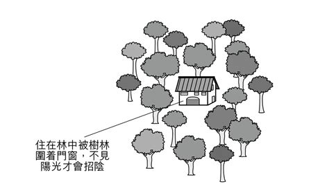 聚陰之地|家裡燈光暗會聚陰嗎？風水老師：未必 